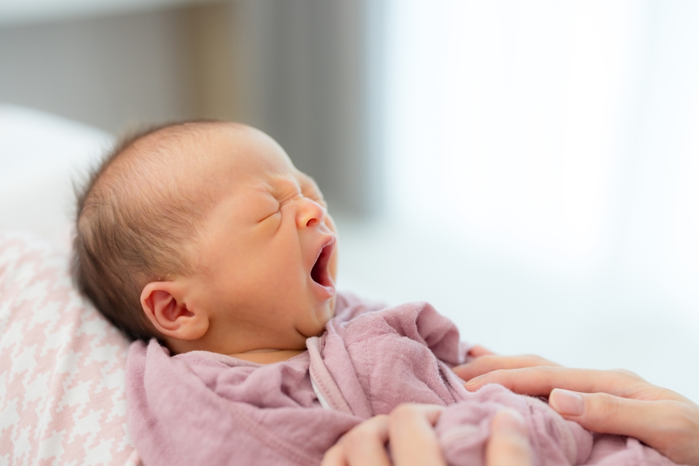 Ilustrační foto; Credit: Shutterstock