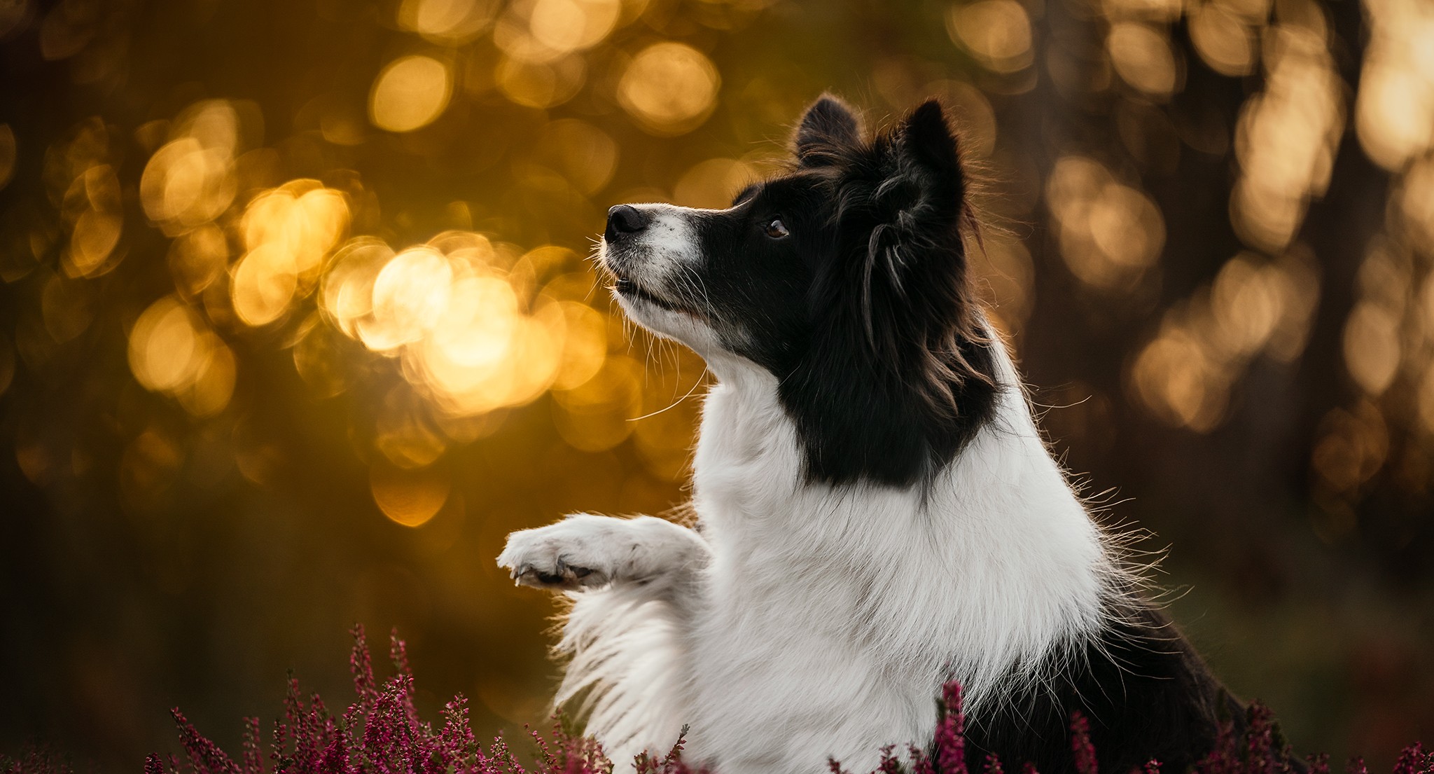 Ilustrační foto; Credit: Photography A&J