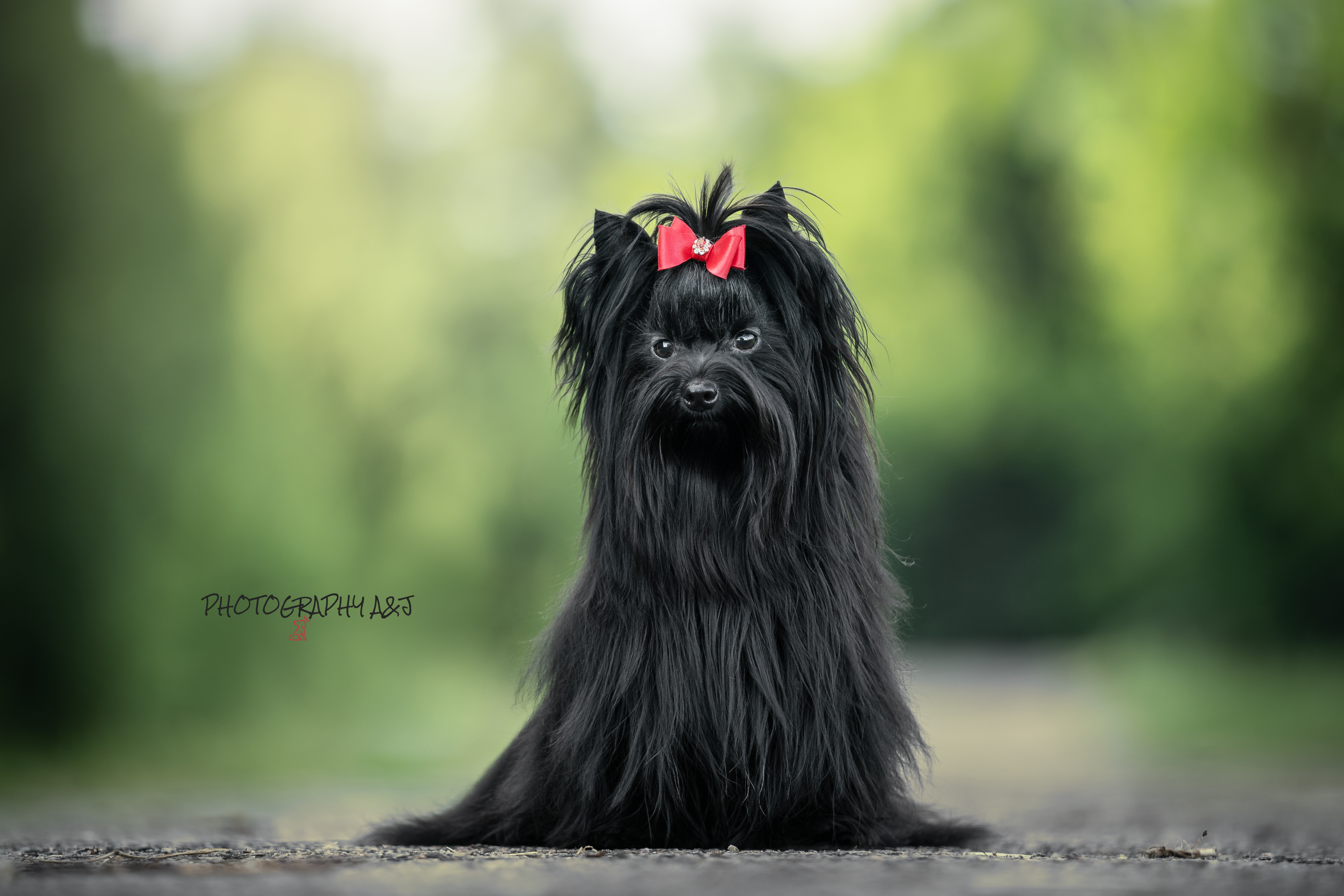 Ilustrační foto; Credit: Photography A&J