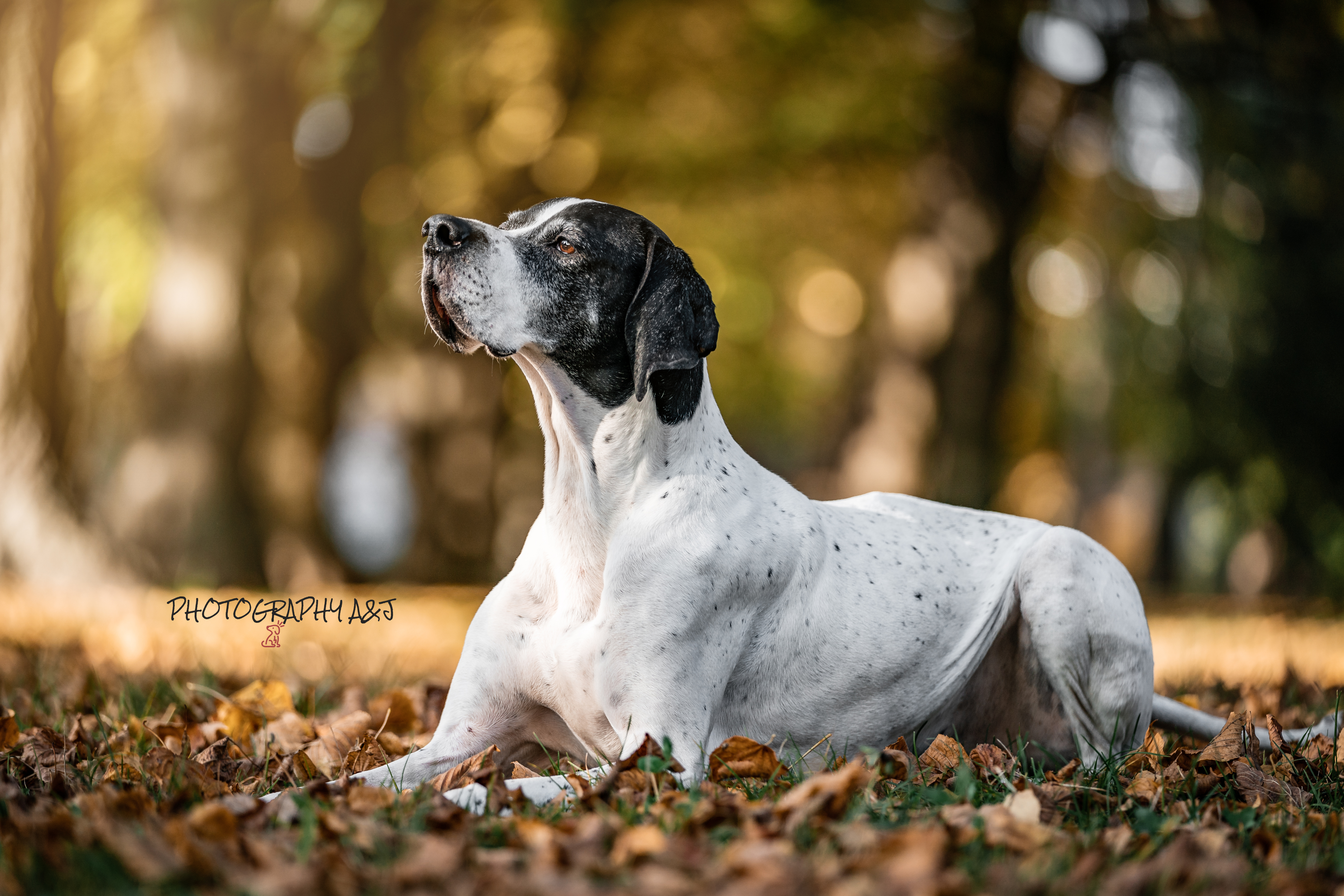 Ilustrační foto; Credit: Photography A&J