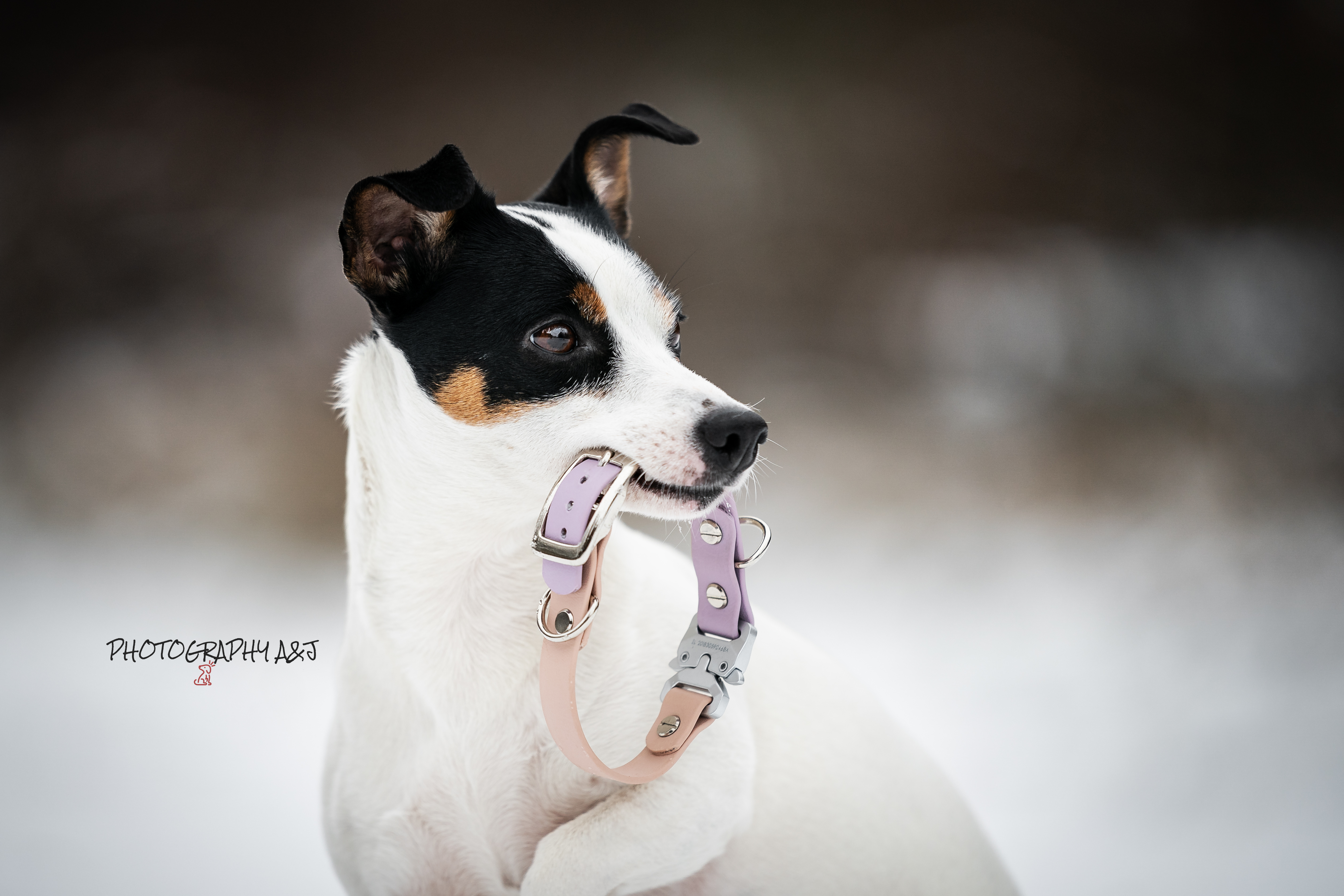 Ilustrační foto; Credit: Photography A&J