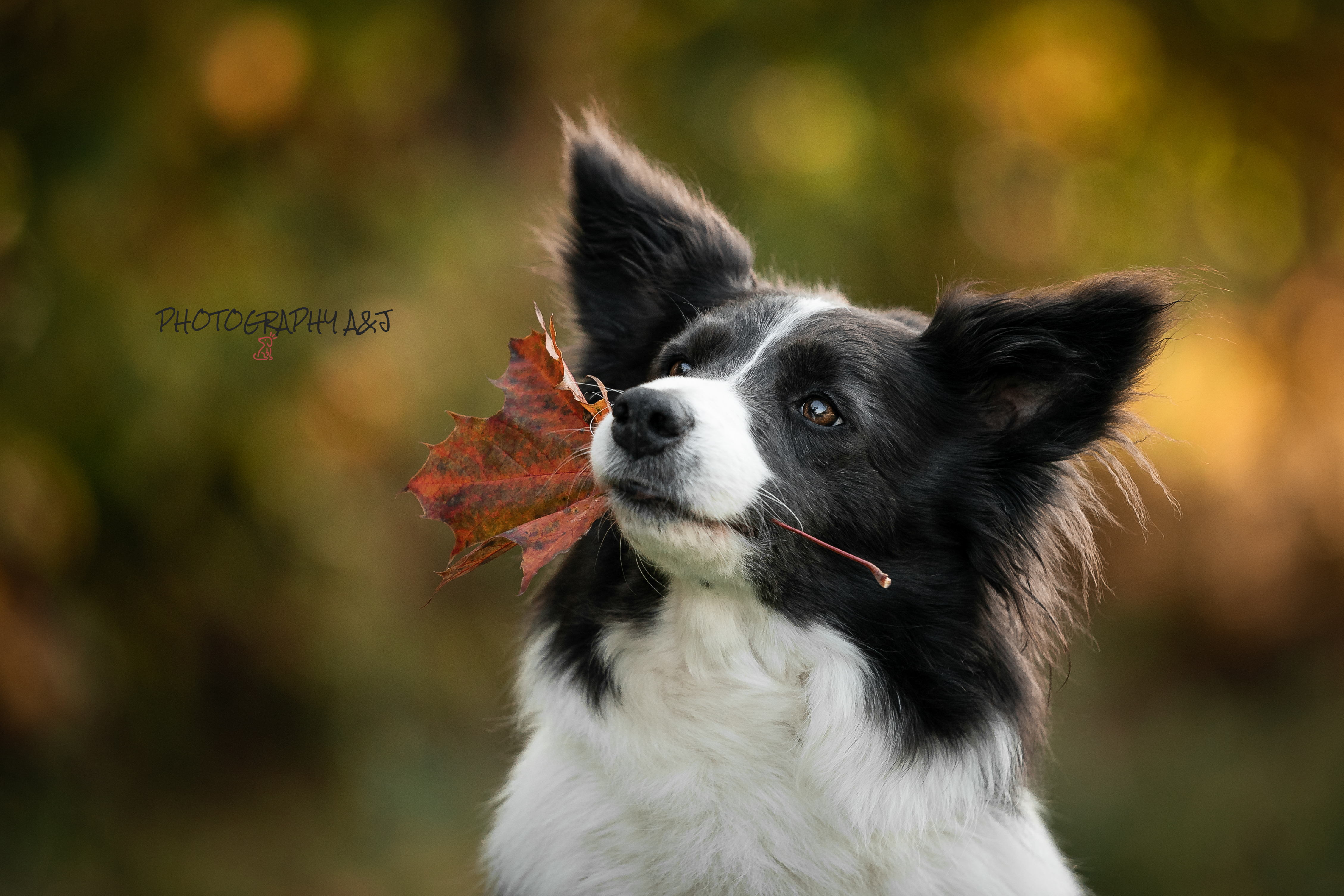 Ilustrační foto; Credit: Photography A&J