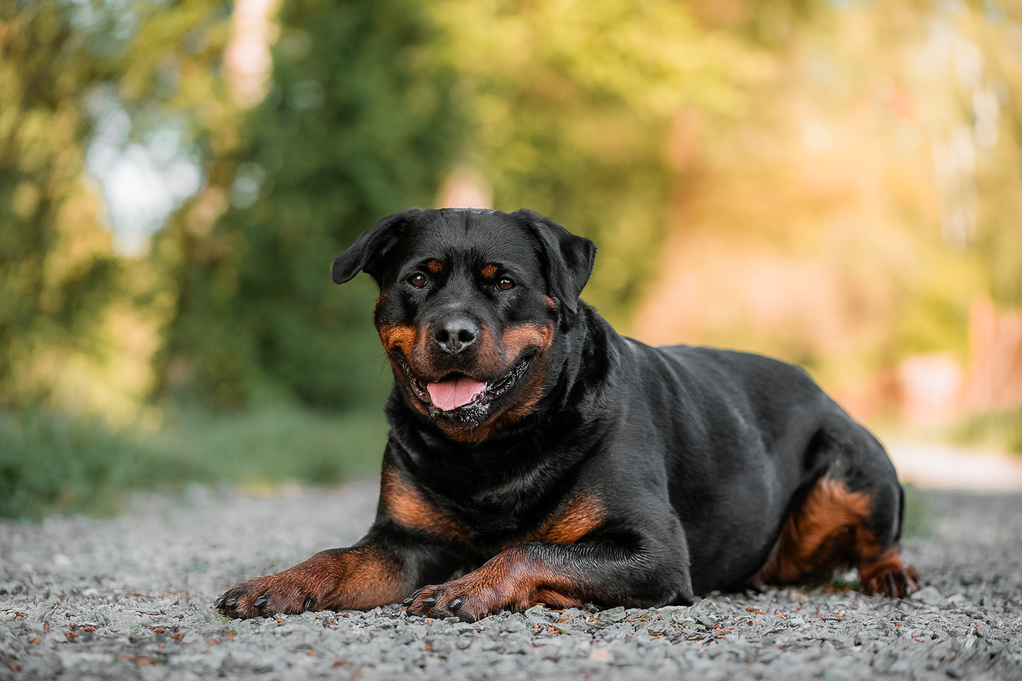 Ilustrační foto; Credit: Photography A&J
