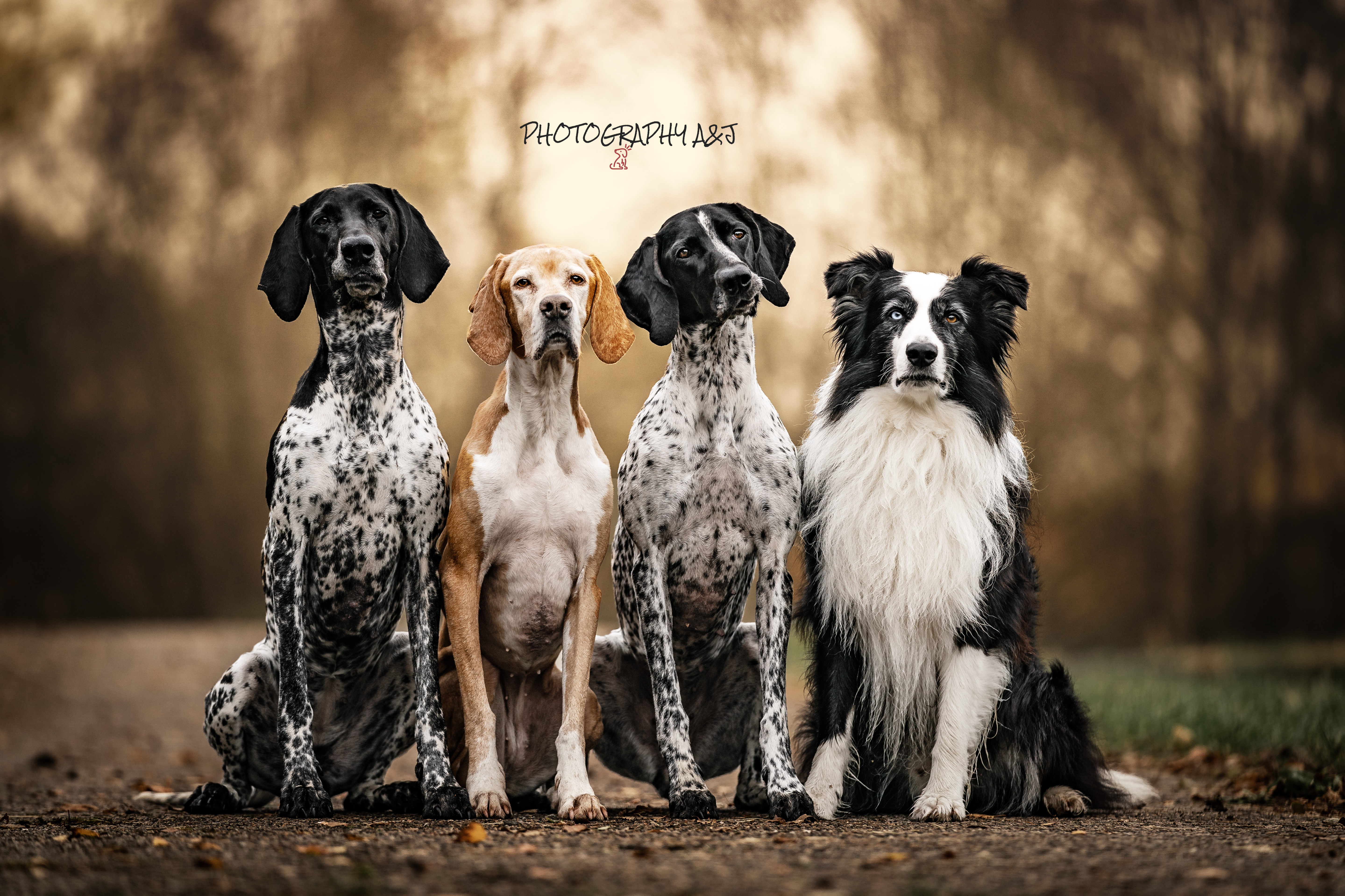 Ilustrační foto; Credit: Photography A&J