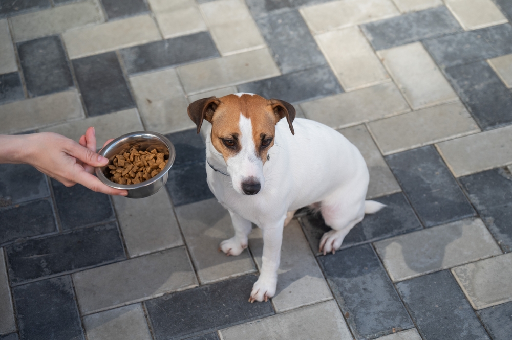 Ilustrační foto; Credit: Shutterstock