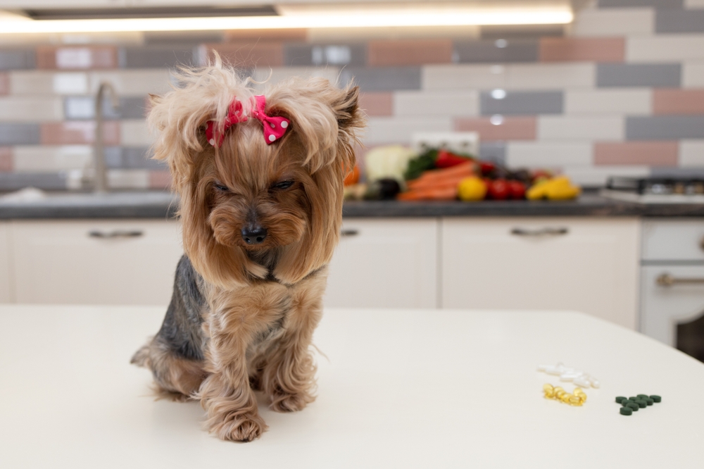 Ilustrační foto; Credit: Shutterstock