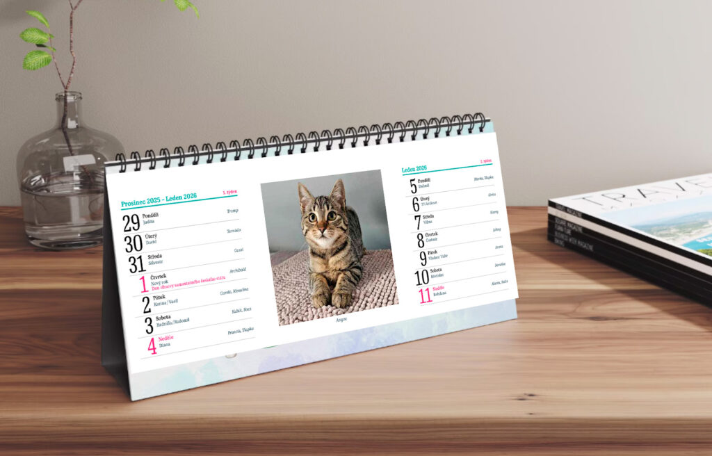 Ilustrační foto; Credit: www.spolekprozvirata.cz