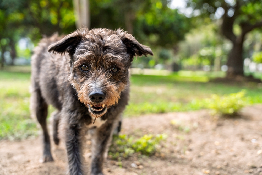 Ilustrační foto; Credit: Shutterstock
