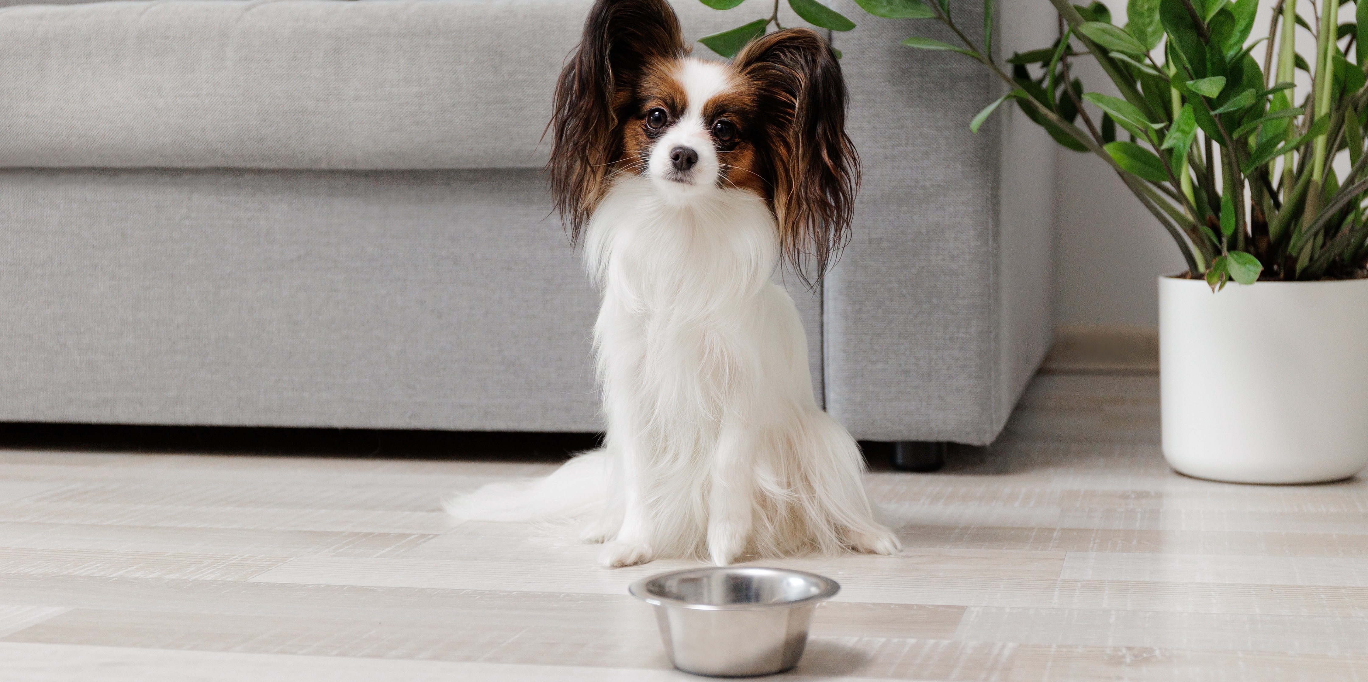 Ilustrační foto; Credit: Shutterstock