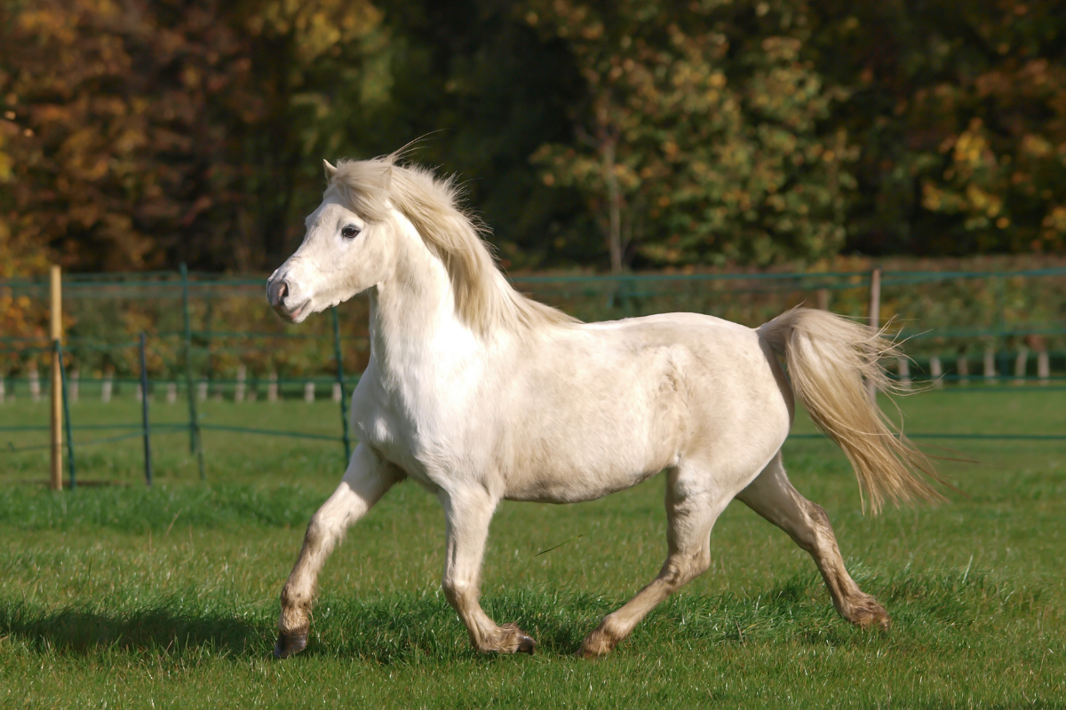 Ilustrační foto; Credit: Canva