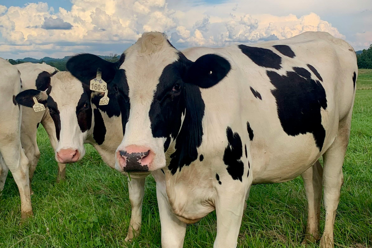 Ilustrační foto; Credit: Canva