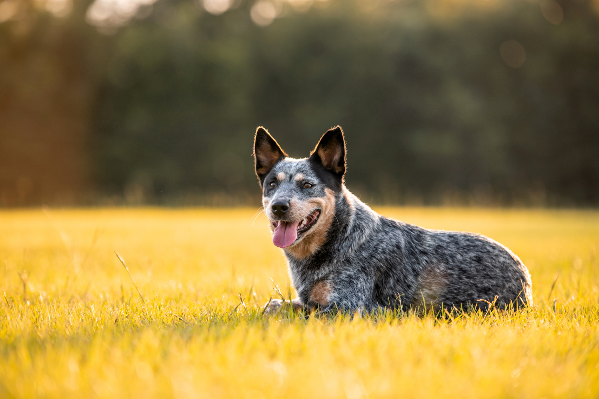 Ilustrační foto; Credit: Canva