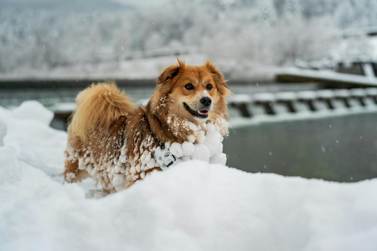 Ilustrační foto; Credit: Canva