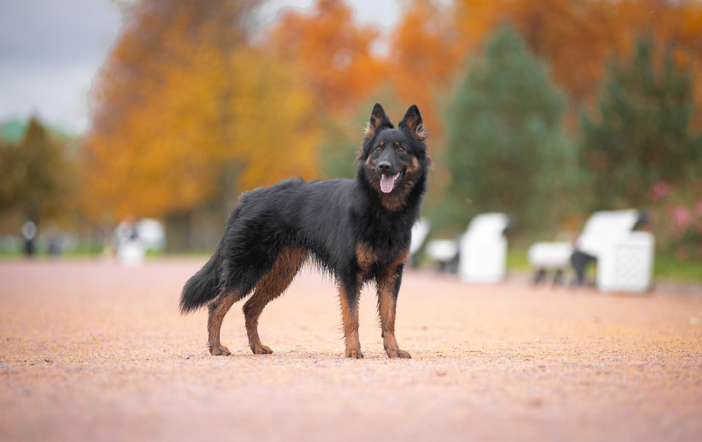 Ilustrační foto; Credit: Shutterstock