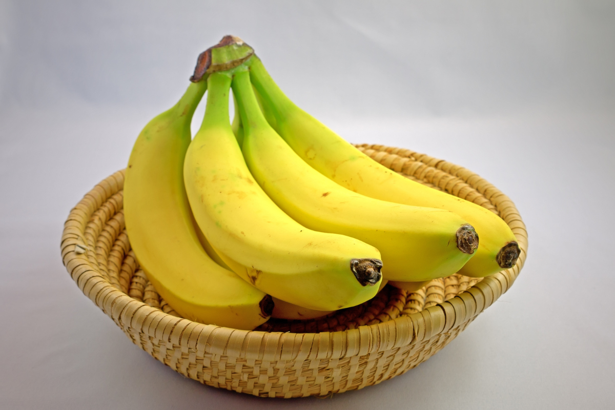 Ilustrační foto; Credit: Canva