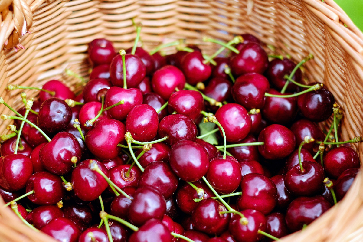 Ilustrační foto; Credit: Canva