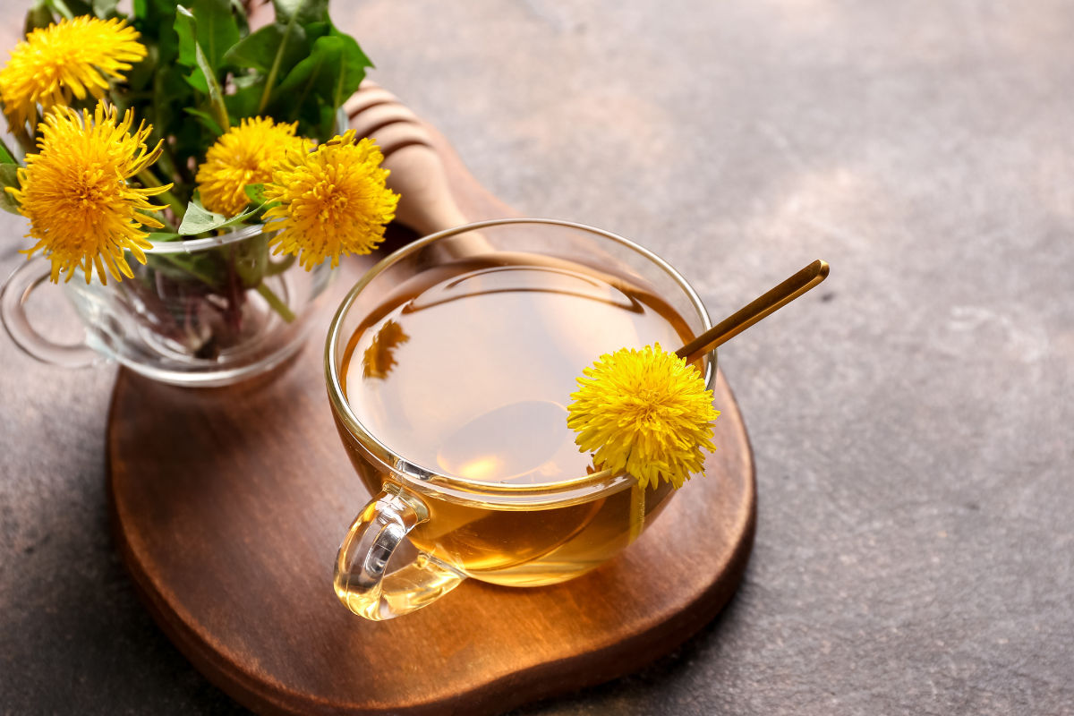 Ilustrační foto; Credit: Canva