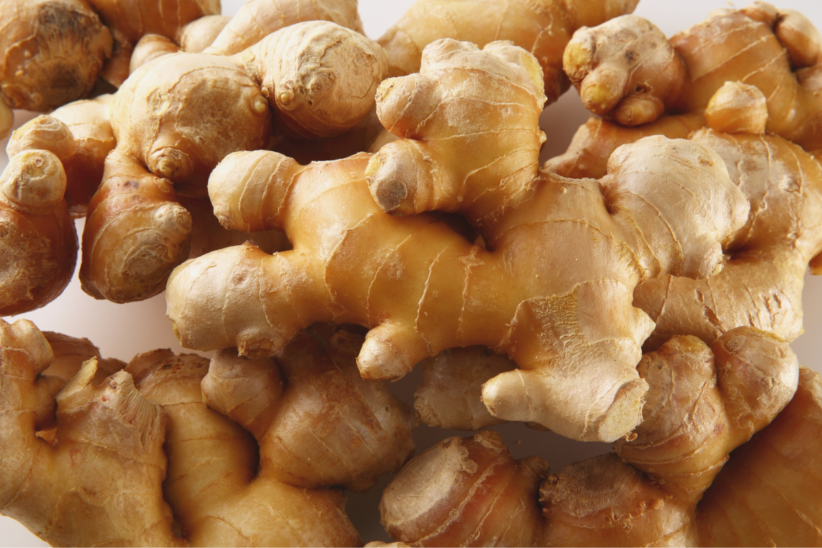 Ilustrační foto; Credit: Canva