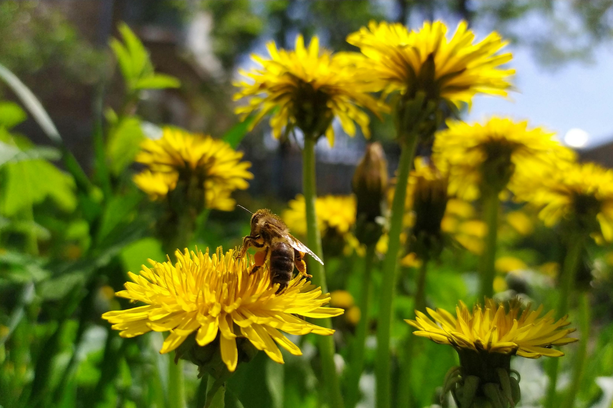 Ilustrační foto; Credit: Canva