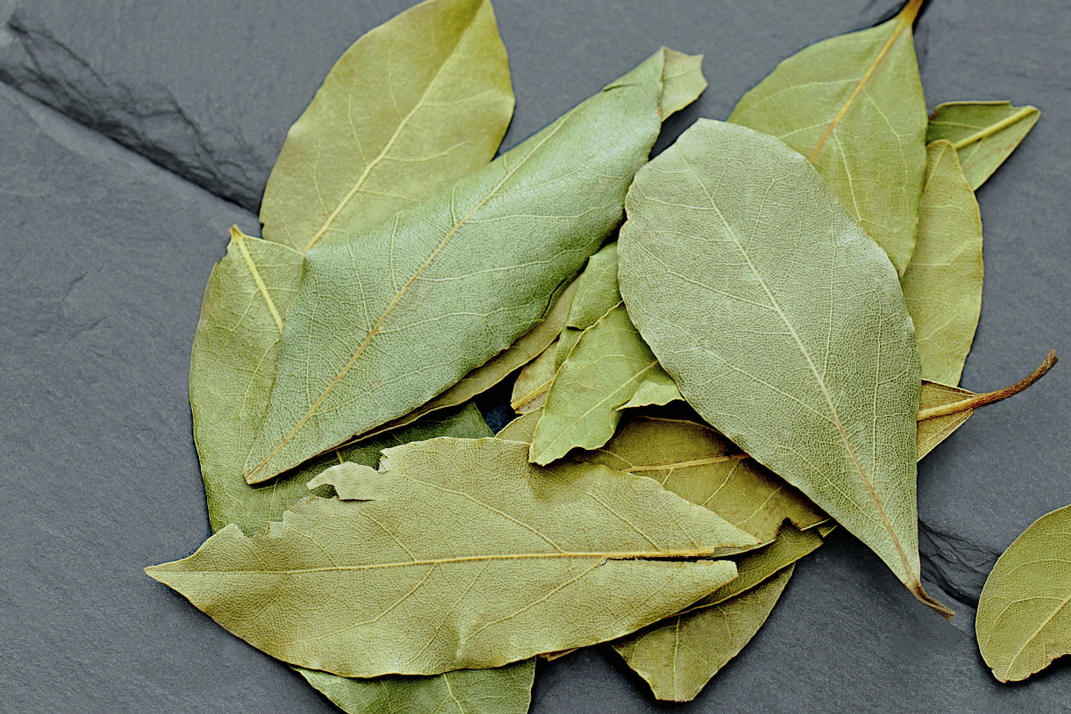 Ilustrační foto; Credit: Canva