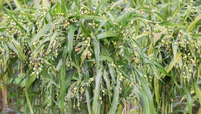 Ilustrační foto; Credit: Pinterest