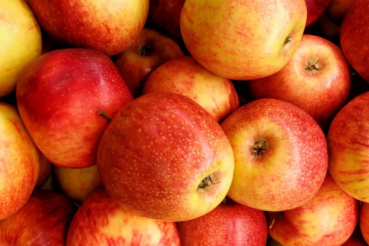 Ilustrační foto; Credit: Canva