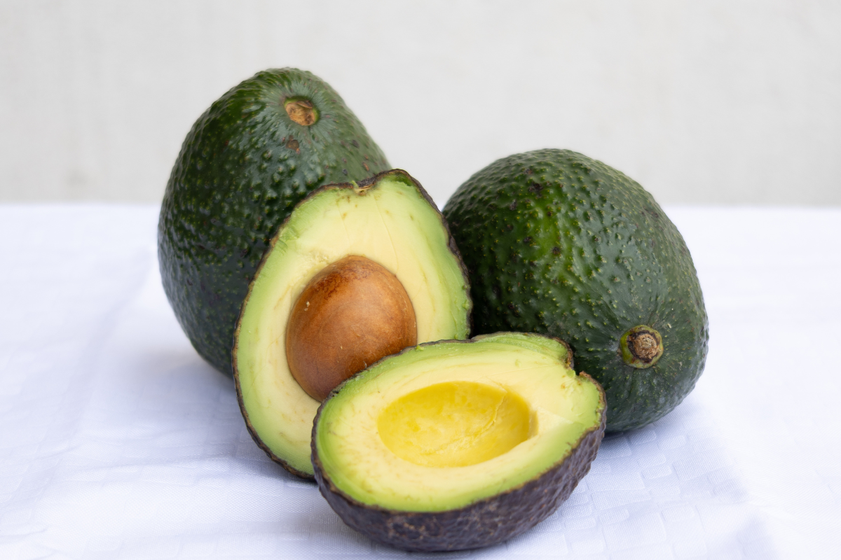 Ilustrační foto; Credit: Canva