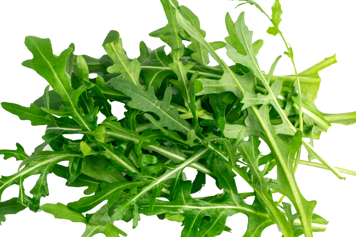 Ilustrační foto; Credit: Canva