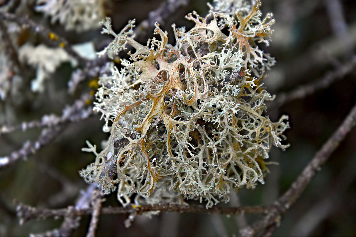 Ilustrační foto; Credit: Canva