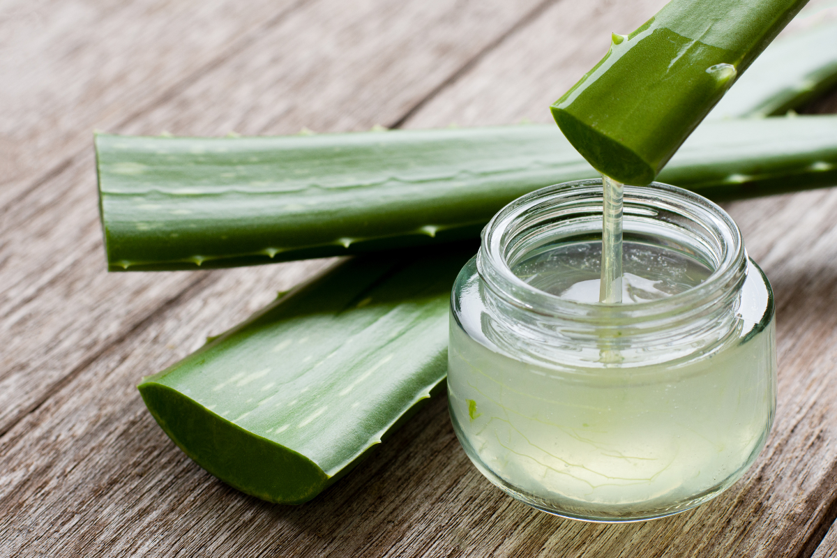 Ilustrační foto; Credit: Canva