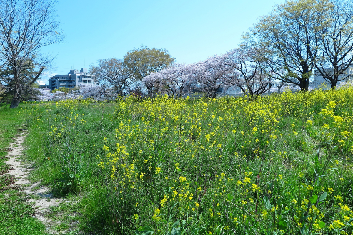 Ilustrační foto; Credit: Canva