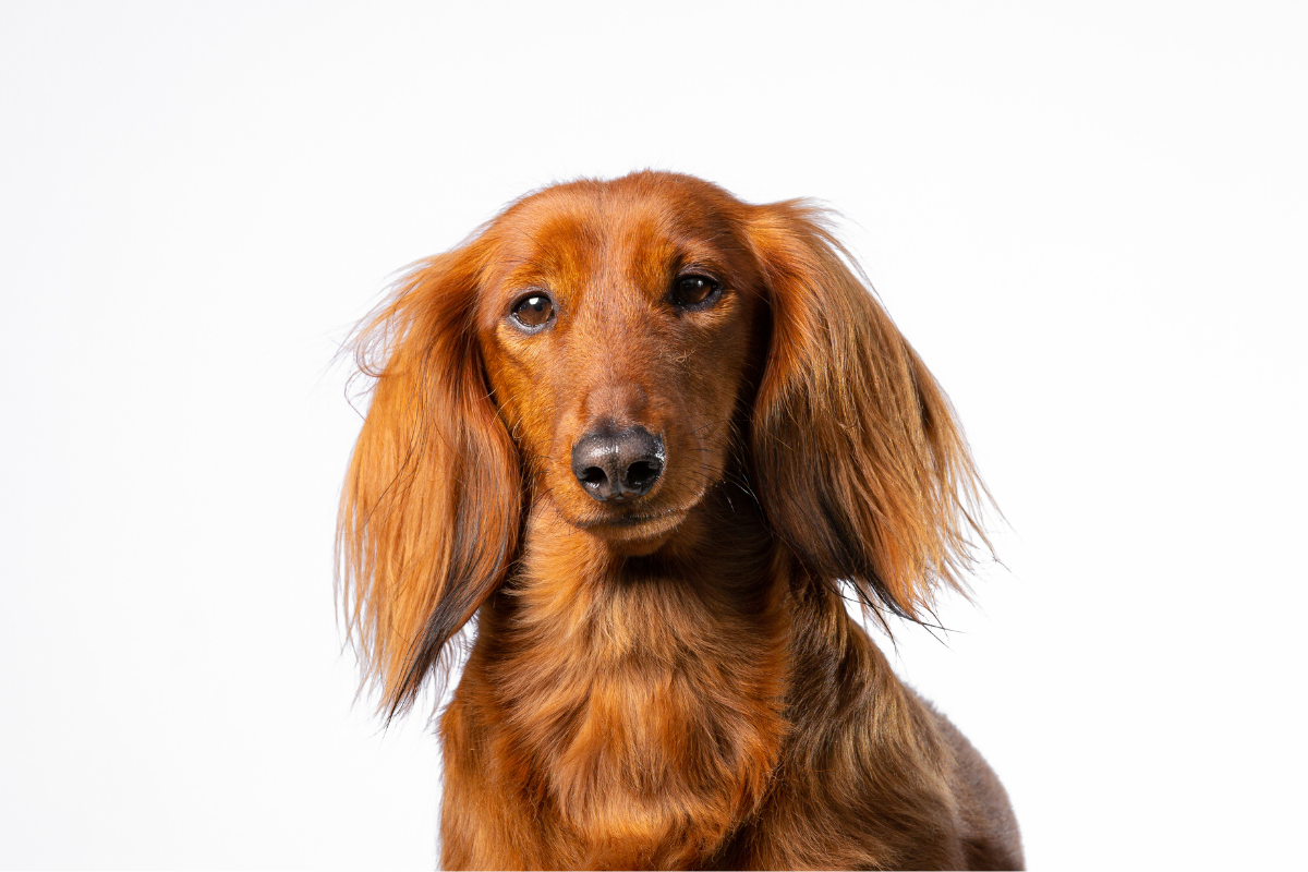 Ilustrační foto; Credit: Canva