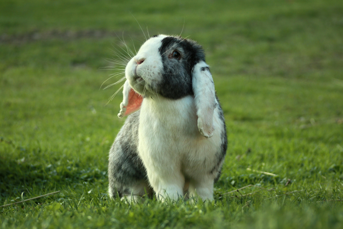 Ilustrační foto; Credit: Canva