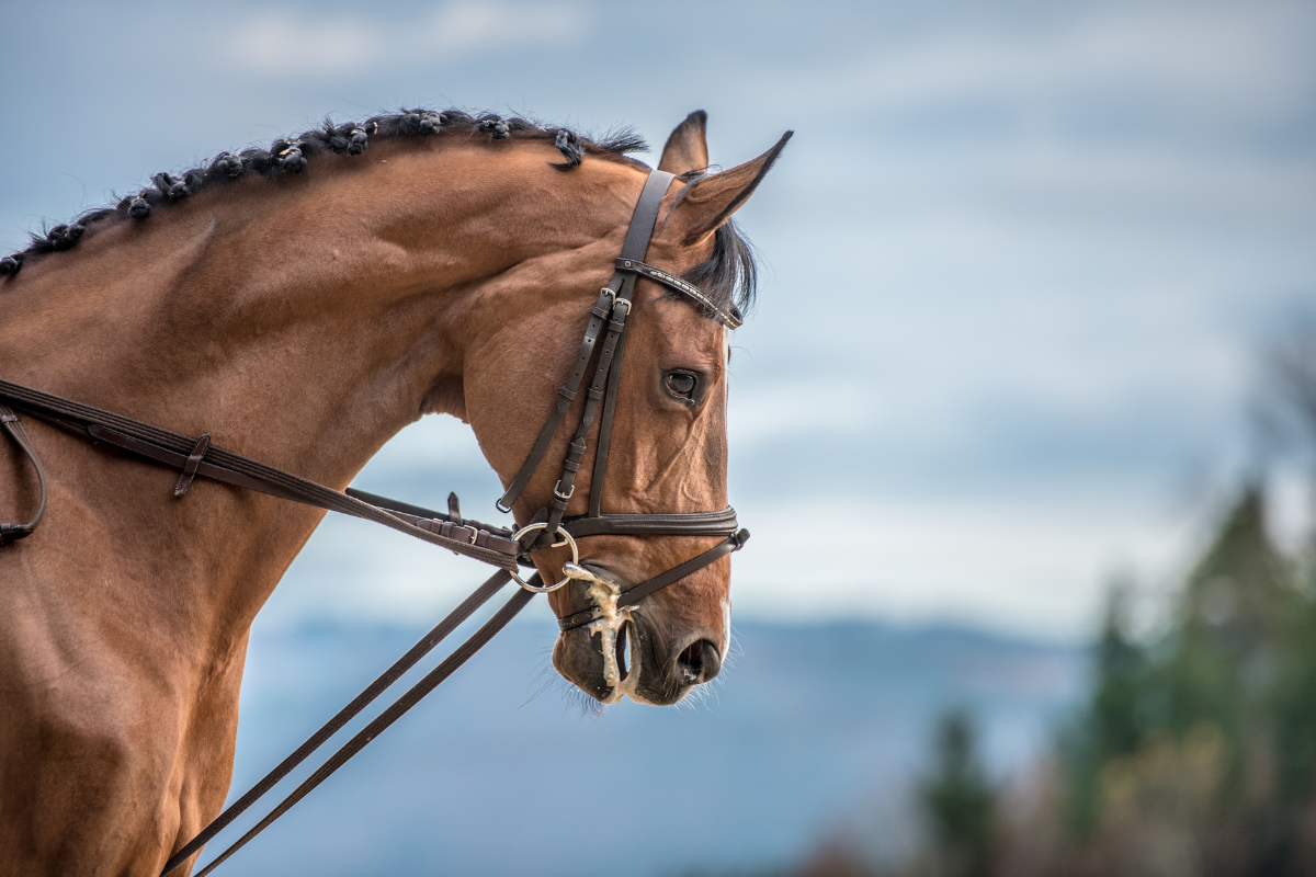 Ilustrační foto; Credit: Canva