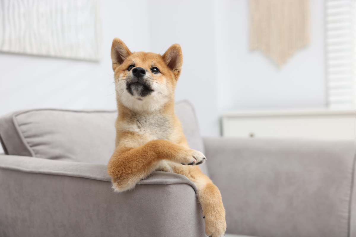 Ilustrační foto; Credit: Canva