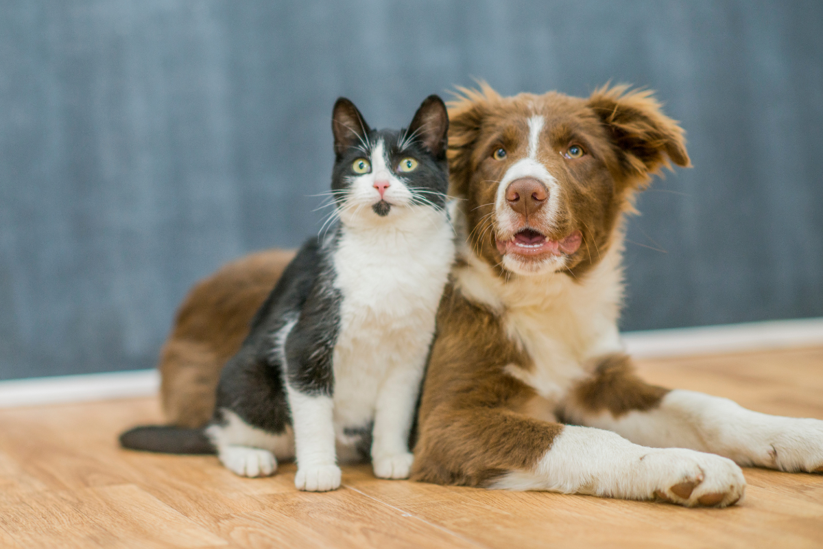 Ilustrační foto; Credit: Canva