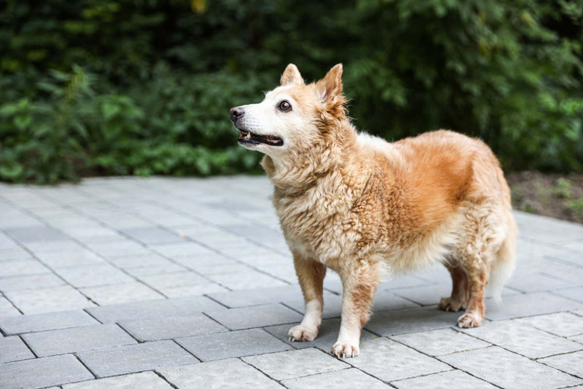 Ilustrační foto; Credit: Canva