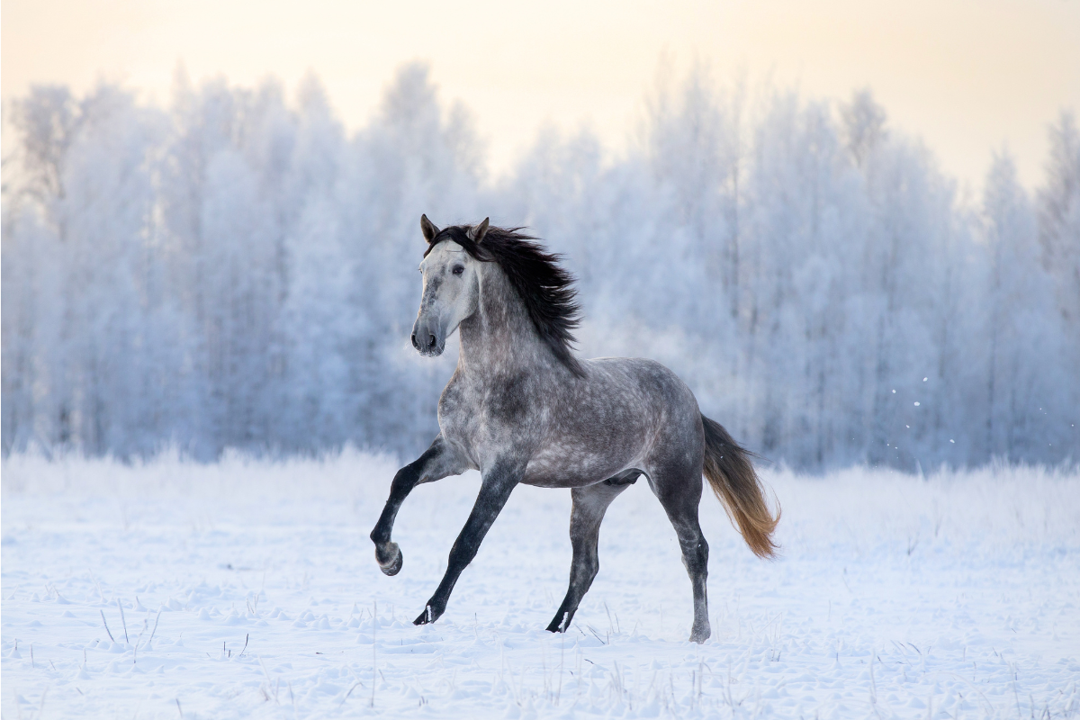 Ilustrační foto; Credit: Canva