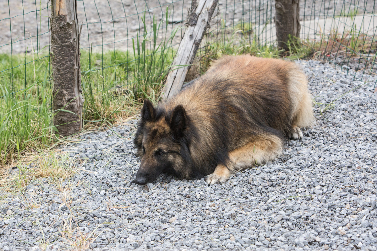 Ilustrační foto; Credit: Canva