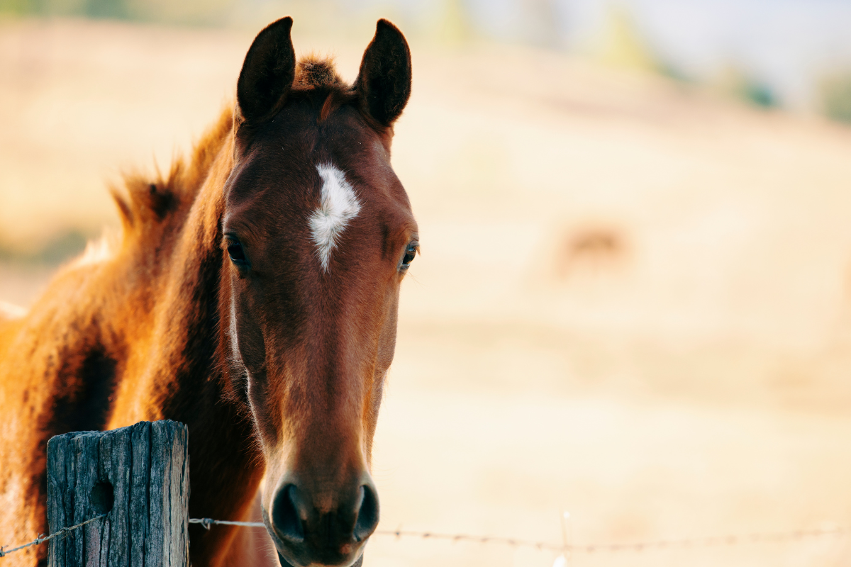 Ilustrační foto; Credit: Canva