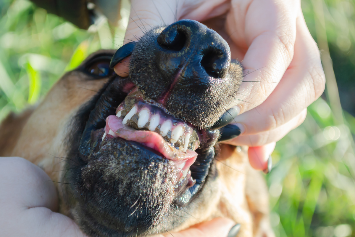 Ilustrační foto; Credit: Canva