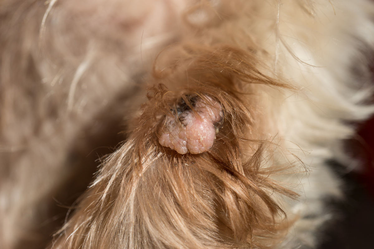 Ilustrační foto; Credit: Canva