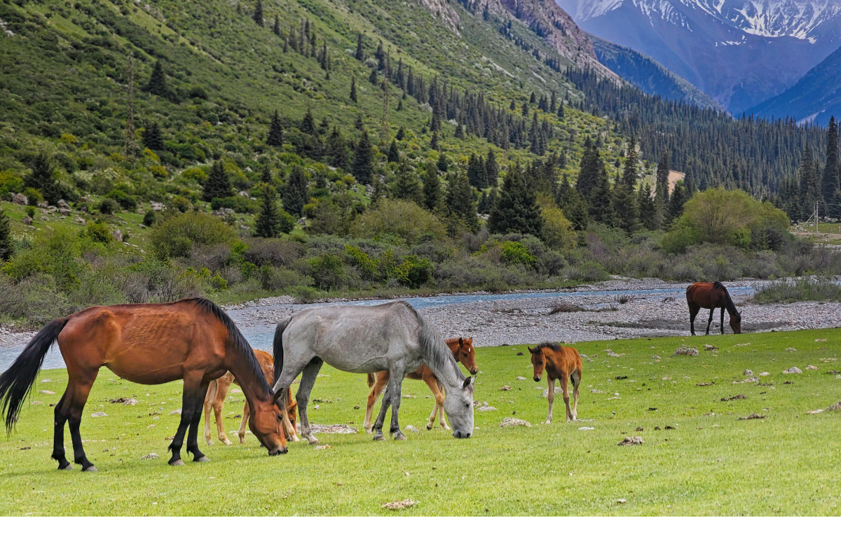 Ilustrační foto; Credit: Canva