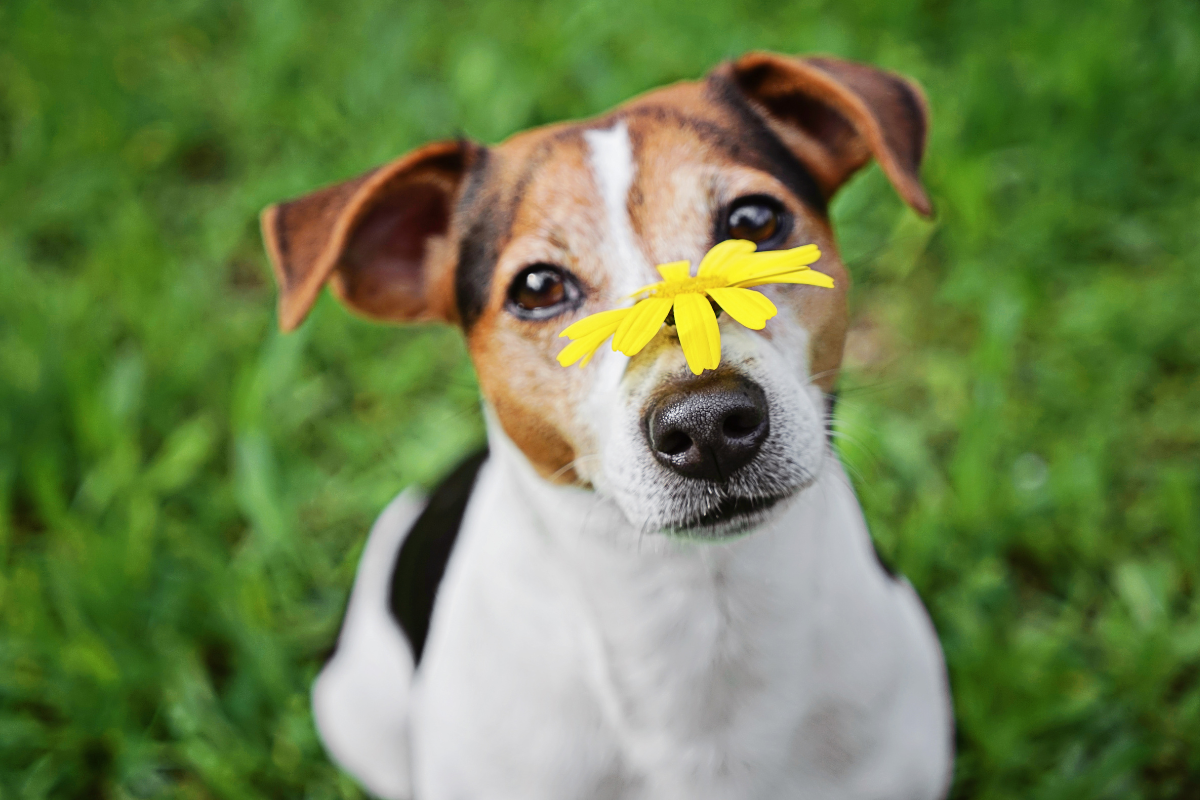 Ilustrační foto; Credit: Canva