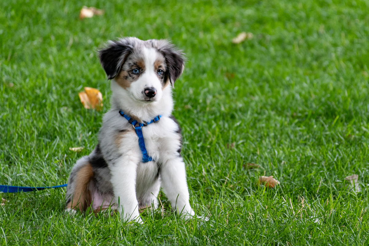 Ilustrační foto; Credit: Canva