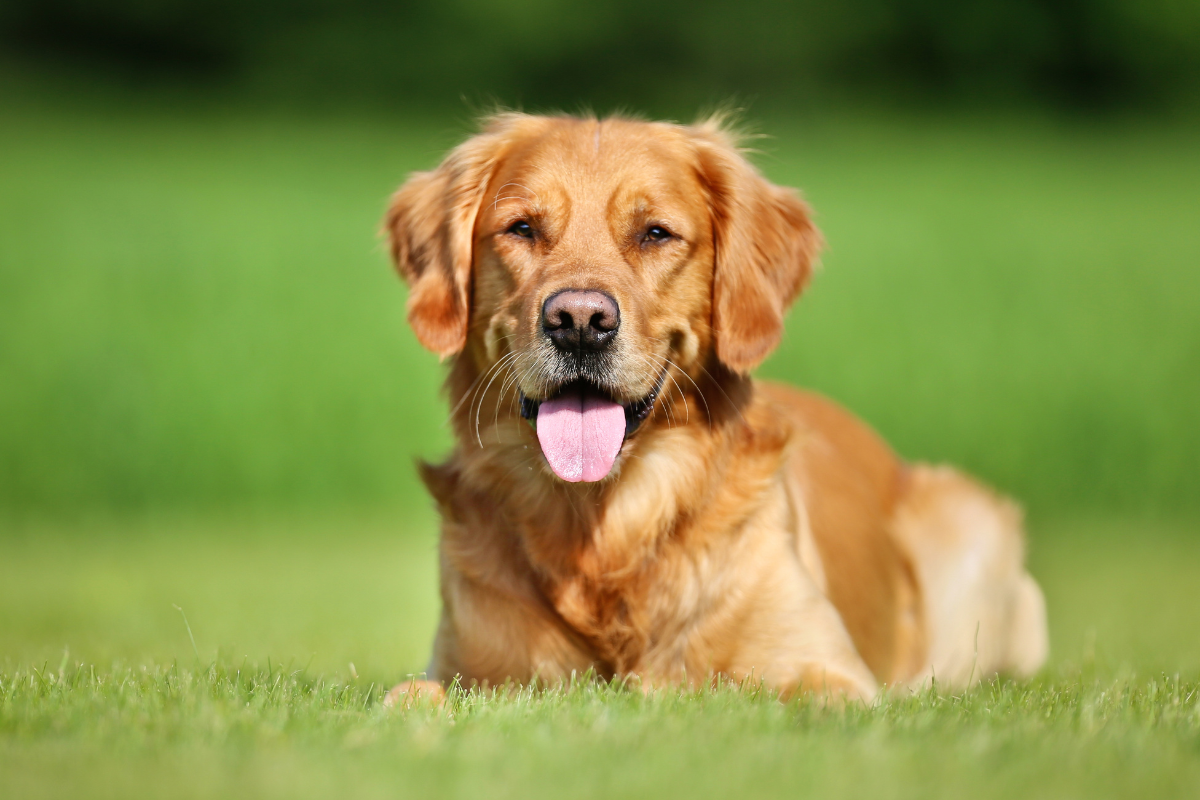 Ilustrační foto; Credit: Canva