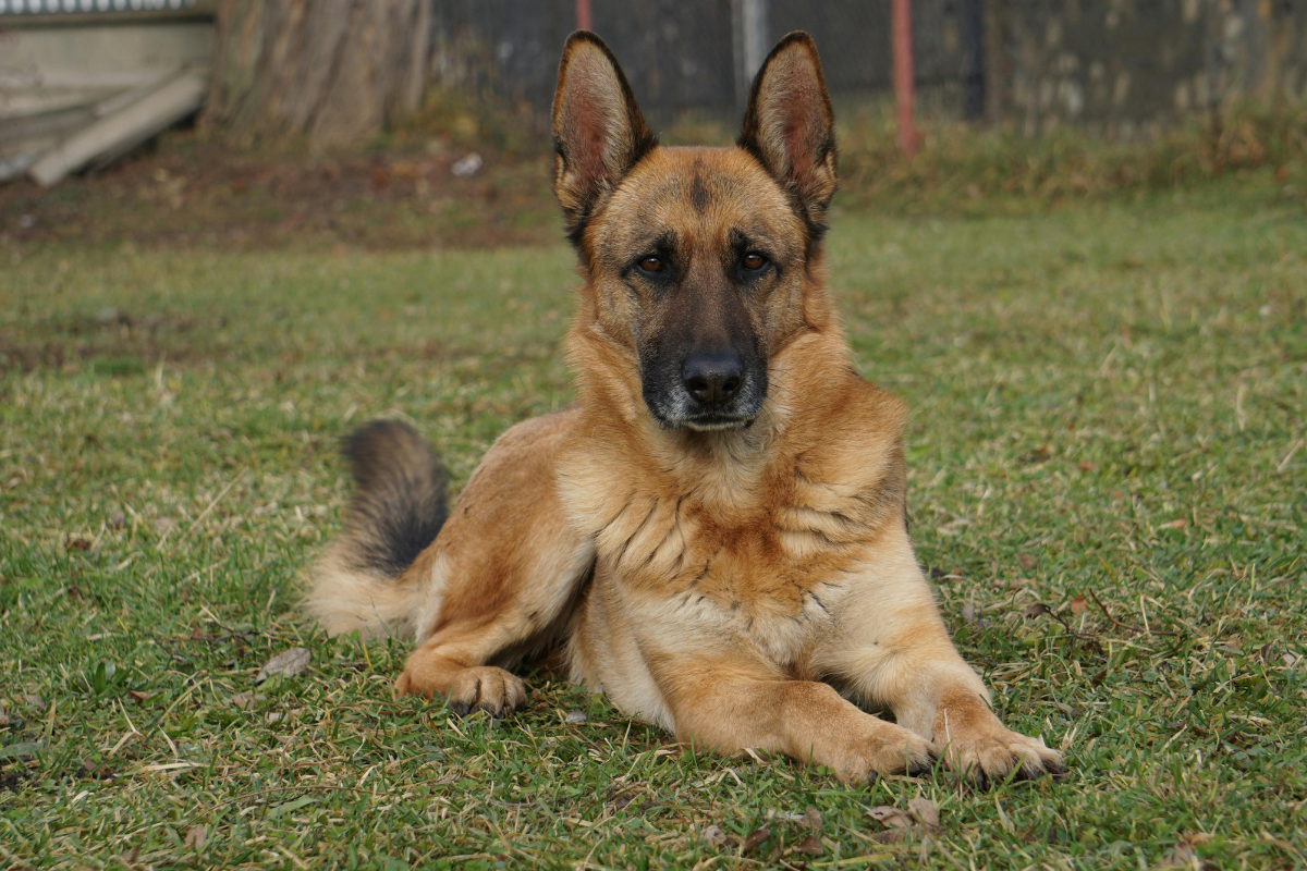 Ilustrační foto; Credit: Canva