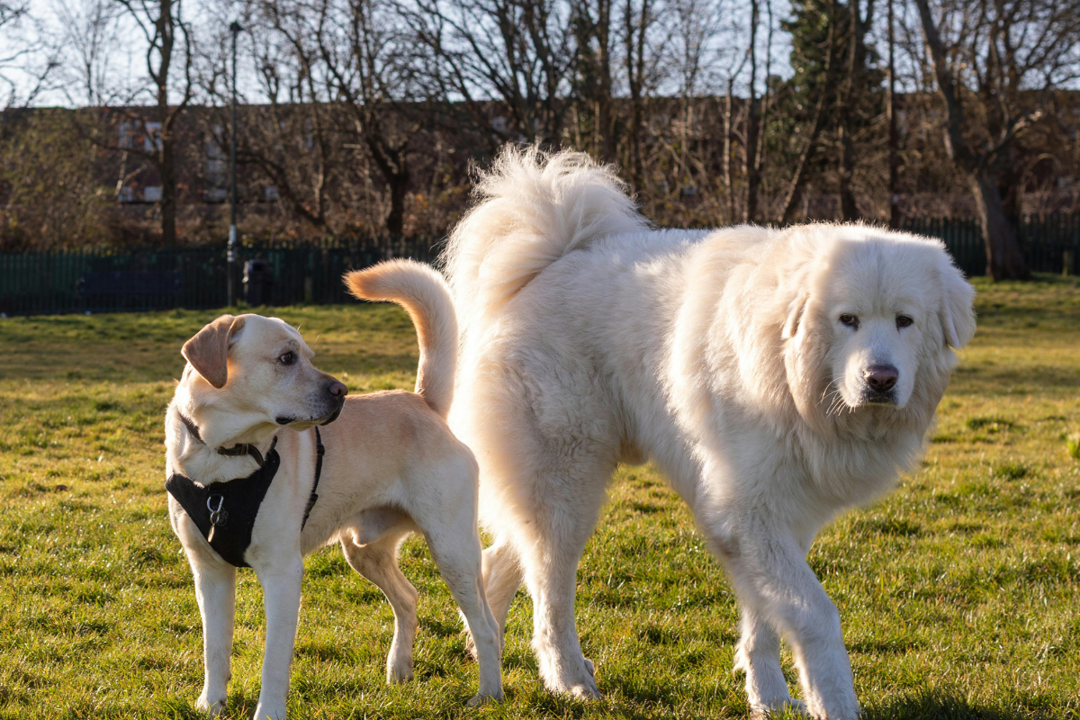 Ilustrační foto; Credit: Canva