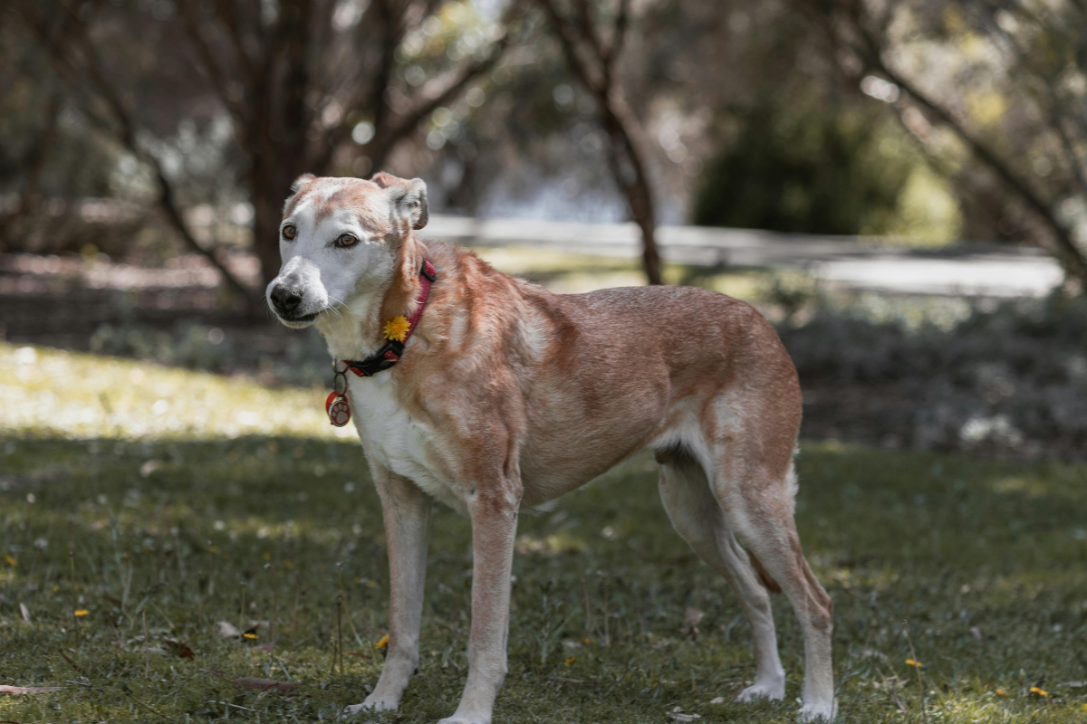 Ilustrační foto; Credit: Canva