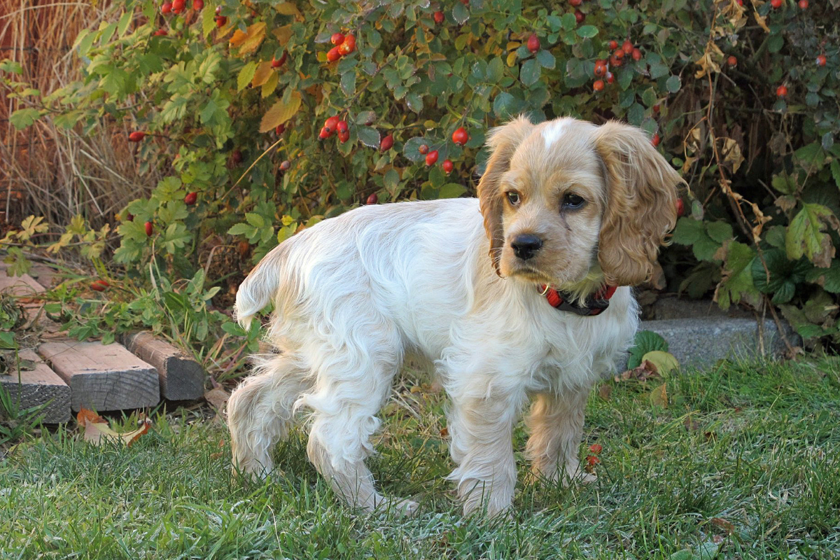 Ilustrační foto; Credit: Canva